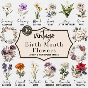 Vintage Birth Month Flowers Clipart, Antique Floral PNG, Birth Flower PNG, Personalized Flower Bouquet, Birthday Flower, Floral Botanical