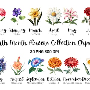 Clipart fleur mois de naissance, aquarelle de fleurs du mois de naissance, PNG botanique floral, lot de fleurs du mois de naissance, fleur de naissance en téléchargement numérique