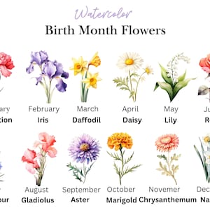 Birth Month Flower PNG, Watercolor Birth Month Flowers Clipart, Birth Flower Art, Flower Graphics,  Birthday Flower, Botanical Floral PNG