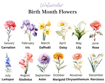 Birth Month Flower PNG, Watercolor Birth Month Flowers Clipart, Birth Flower Art, Flower Graphics,  Birthday Flower, Botanical Floral PNG