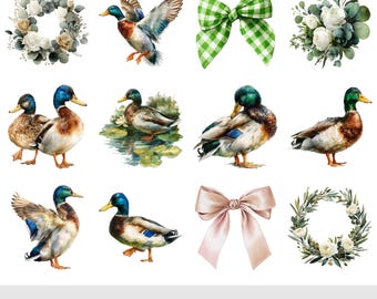 30 Cute Duckling PNG Clipart | Mallard Ducklings for Invitations & Scrapbooking | Mother Duck And Ducklings PNG | Instant Download Printable