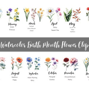 Impression numérique de fleurs du mois de naissance, Clipart fleurs de naissance, bouquet de fleurs personnalisé, design floral, fleurs du mois de naissance, Clipart botanique