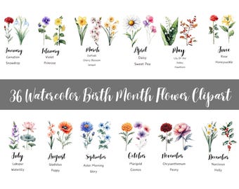 May include: Watercolor illustrations of flowers representing each month of the year. The flowers are arranged in rows with the month and flower name listed below each illustration. The text "36 Watercolor Birth Month Flower Clipart" is displayed at the top of the image.