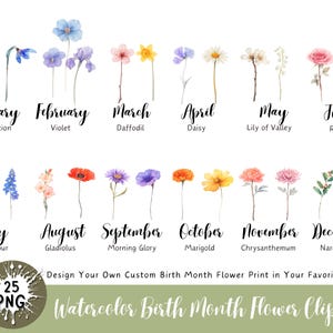 Imágenes prediseñadas de flores del mes de nacimiento, flores PNG de nacimiento, PNG floral antiguo, gráfico de ramo de flores personalizado, flores de cumpleaños, PNG floral botánico