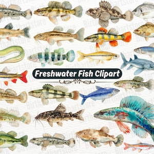 Watercolor Freshwater Fish Clipart Bundle, Bass Trout Game Fish PNG for Crafts, Fisherman Clipart, Fish Illustrations, Fishing Graphics