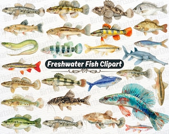 Aquarell Süßwasserfisch Clipart Bundle, Bass Forelle Spiel Fisch PNG für Handwerk, Fischer Clipart, Fisch Illustrationen, Angeln Grafiken