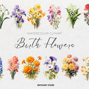 Birth Month Flowers Clipart, Birth Flower Bouquet, Birthday Flower png, Wildflower Clipart, Birth Month Floral PNG, Botanical PNG, Scrapbook
