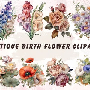 Birth Flowers Clipart, Birth Flower PNG, Antique Floral PNG, Birth Month Flower Print, Floral Bouquet Graphics, Botanical Clipart, Birthday