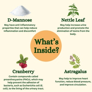 May include: Illustration of four natural ingredients: D-Mannose, Nettle Leaf, Cranberry, and Astragalus. Each ingredient is depicted with a visual representation and a description of its potential health benefits.