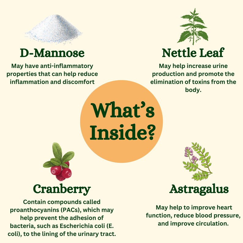May include: Illustration of four natural ingredients: D-Mannose, Nettle Leaf, Cranberry, and Astragalus. Each ingredient is depicted with a visual representation and a description of its potential health benefits.