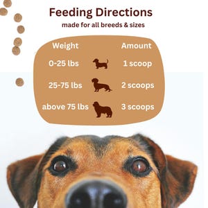 May include: A brown and black dog looking up at the camera. A chart with feeding directions for dogs of different weights is above the dog. The chart shows the amount of food to give a dog based on its weight. The chart says "Feeding Directions made for all breeds & sizes". The chart has three rows. The first row says "0-25 lbs 1 scoop". The second row says "25-75 lbs 2 scoops". The third row says "above 75 lbs 3 scoops".