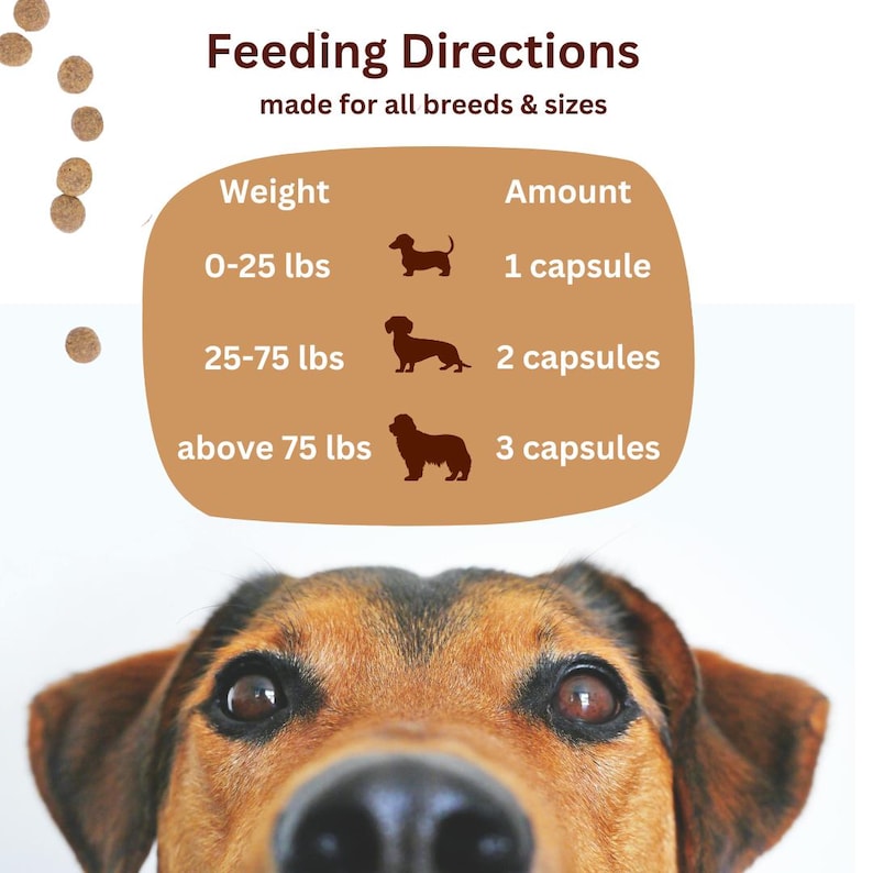 May include: A brown and black dog looking up at the camera. A chart with feeding directions for dogs of different weights is above the dog. The chart shows the amount of capsules to give based on the dog's weight. The chart says "Feeding Directions made for all breeds & sizes". The chart has the following information: Weight: 0-25 lbs, Amount: 1 capsule; Weight: 25-75 lbs, Amount: 2 capsules; Weight: above 75 lbs, Amount: 3 capsules.