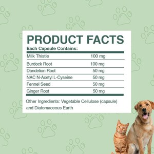 Puede incluir: Una etiqueta de datos del producto enumera los ingredientes de un suplemento para mascotas. La etiqueta incluye cardo mariano, ra&iacute;z de bardana, ra&iacute;z de diente de le&oacute;n, NAC N-Acetil L-Ciste&iacute;na, semilla de hinojo y ra&iacute;z de jengibre. El fondo presenta huellas de patas y un gato y un perro.