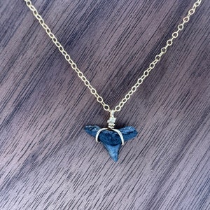 shark tooth necklace 14k gold filled