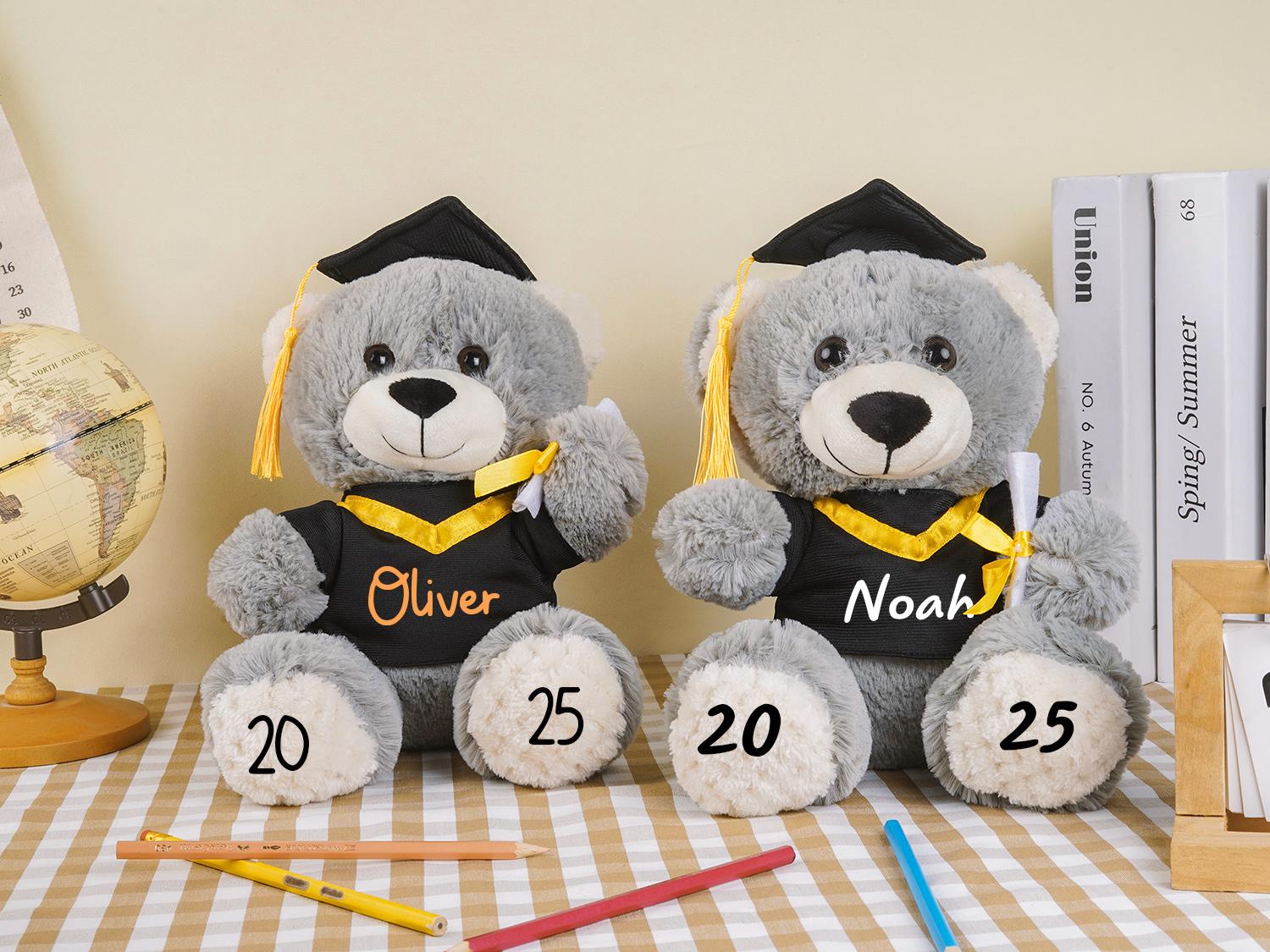 Plüschbär mit Doktorhut, Individueller Abiturbär 2025, Abiturgeschenk, Abiturgeschenk, Vorschulabschlussgeschenk, Geschenk für Absolventen