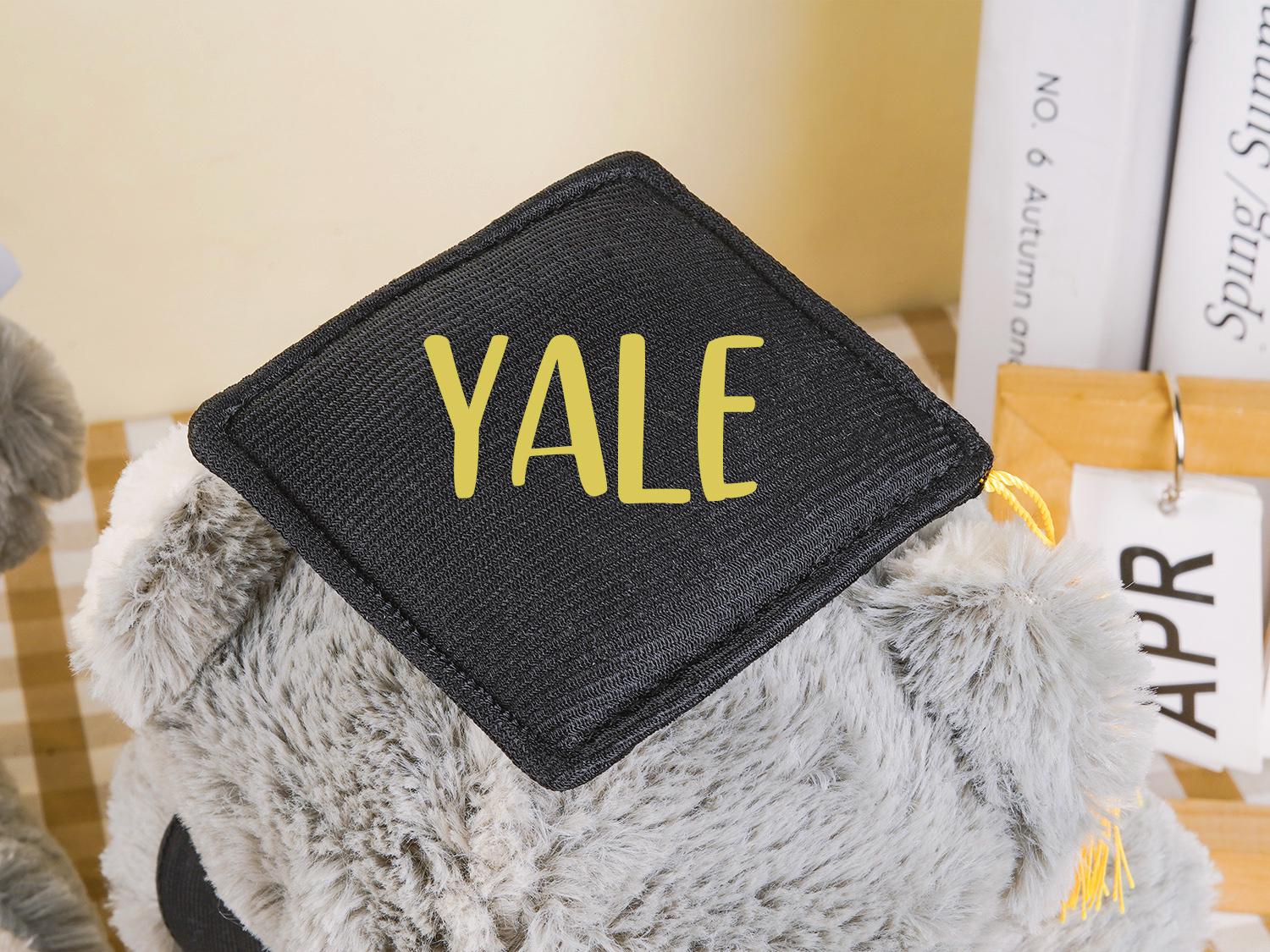 Plüschbär mit Doktorhut, Individueller Abiturbär 2025, Abiturgeschenk, Abiturgeschenk, Vorschulabschlussgeschenk, Geschenk für Absolventen