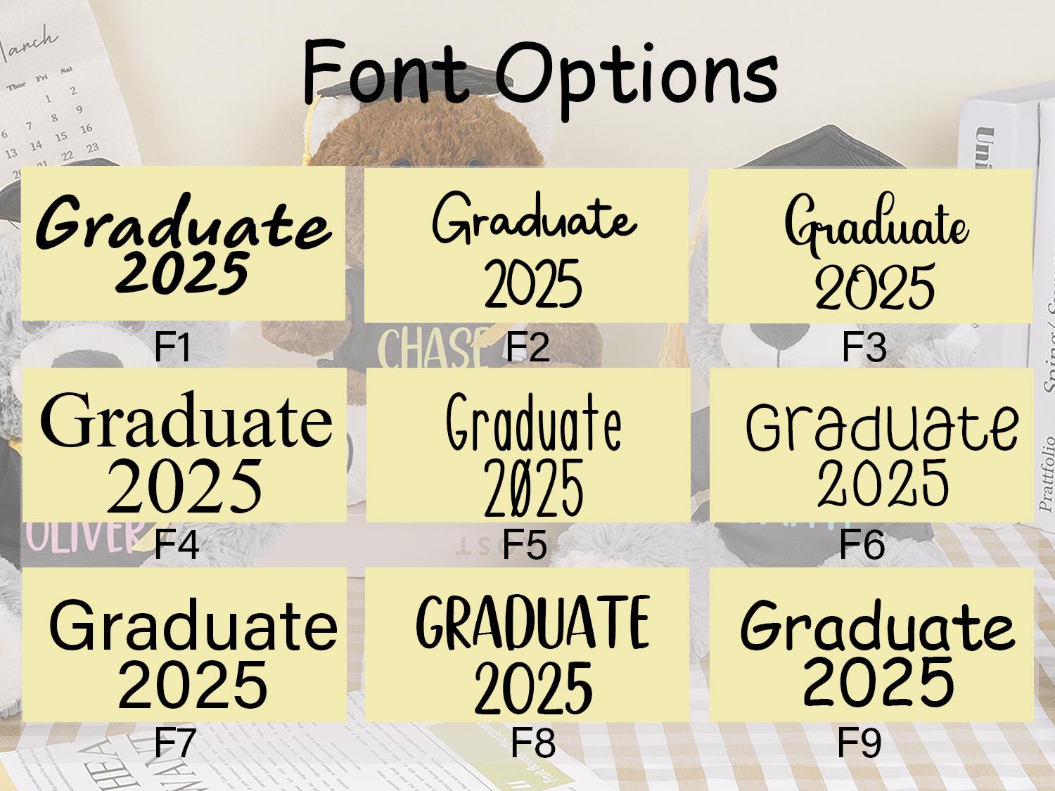 Plüschbär mit Doktorhut, Individueller Abiturbär 2025, Abiturgeschenk, Abiturgeschenk, Vorschulabschlussgeschenk, Geschenk für Absolventen