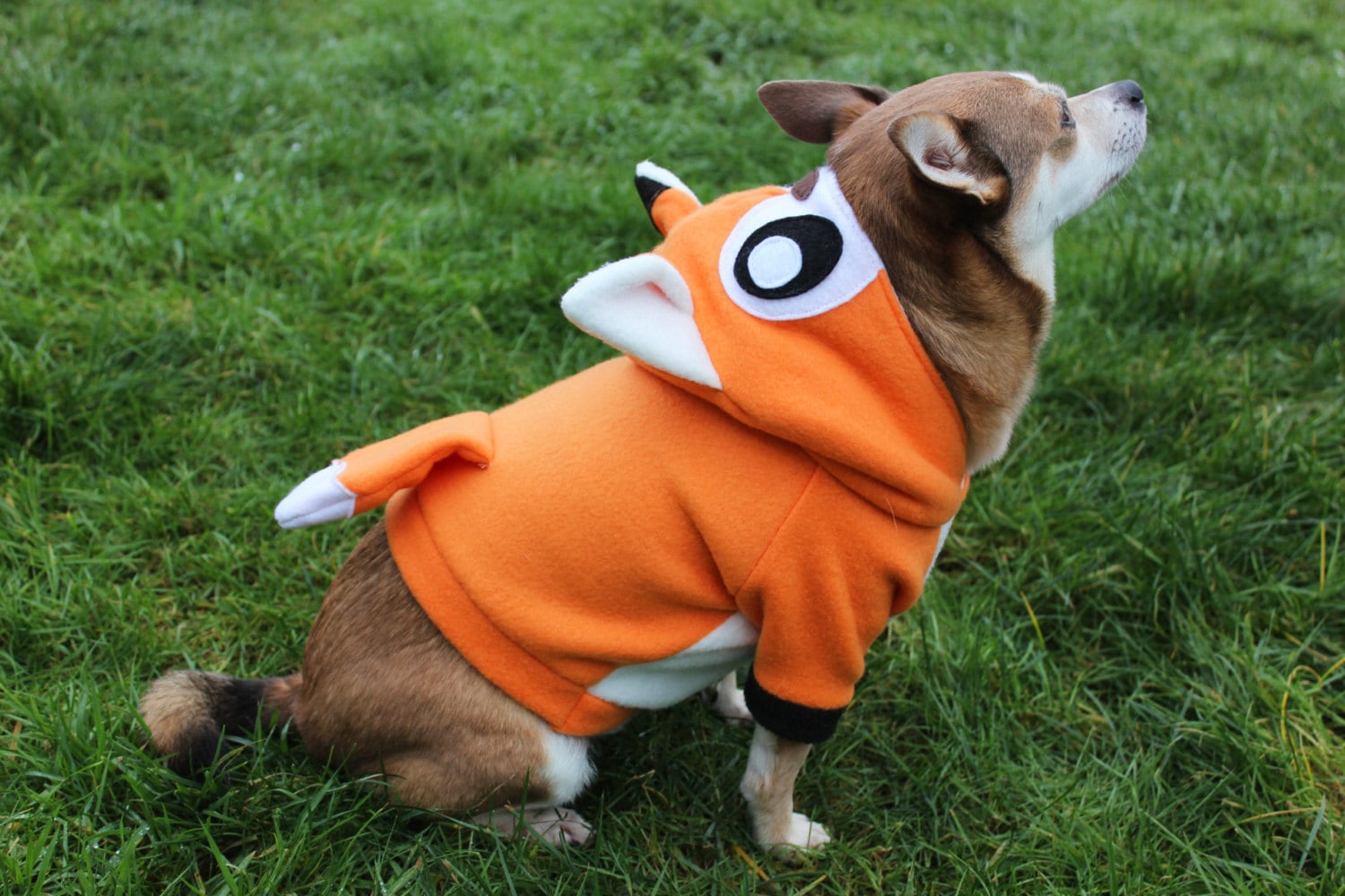 Dog Fox Hoodie Costume XS - MED Pdf Pattern and Full Tutorial - Etsy