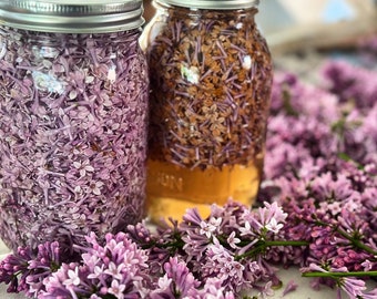 Natural Lilac Tincture
