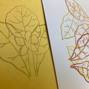 May include: Two botanical illustrations. One features a yellow background with green and purple outlines of leaves and a flower. The other has a white background with layered leaves in yellow, orange, and red.