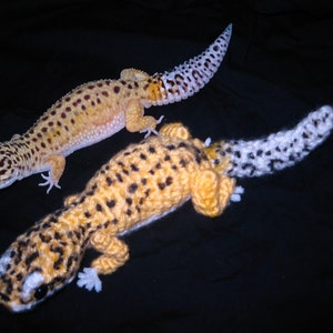 Leopard gecko amigurumi image 4