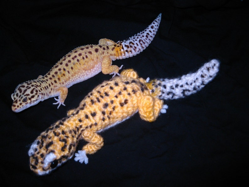 Leopard gecko amigurumi image 4