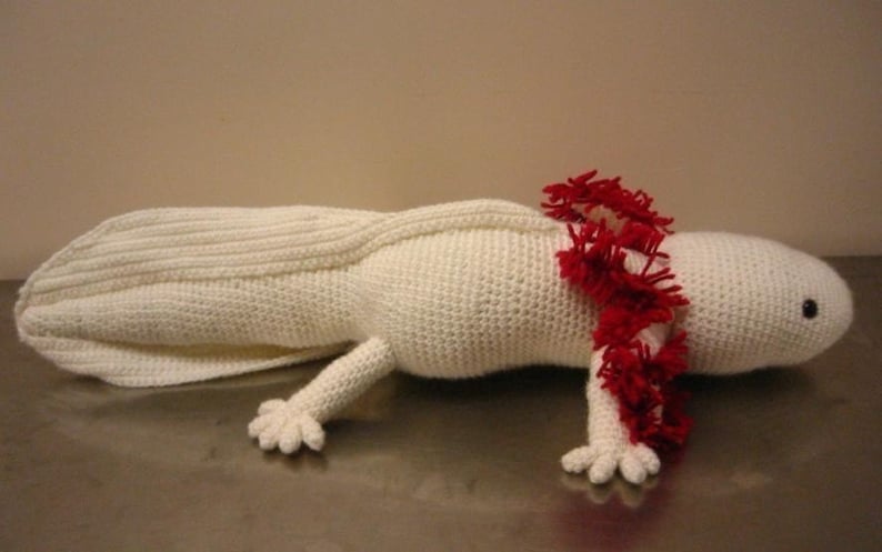 Axolotl Amigurumi image 2