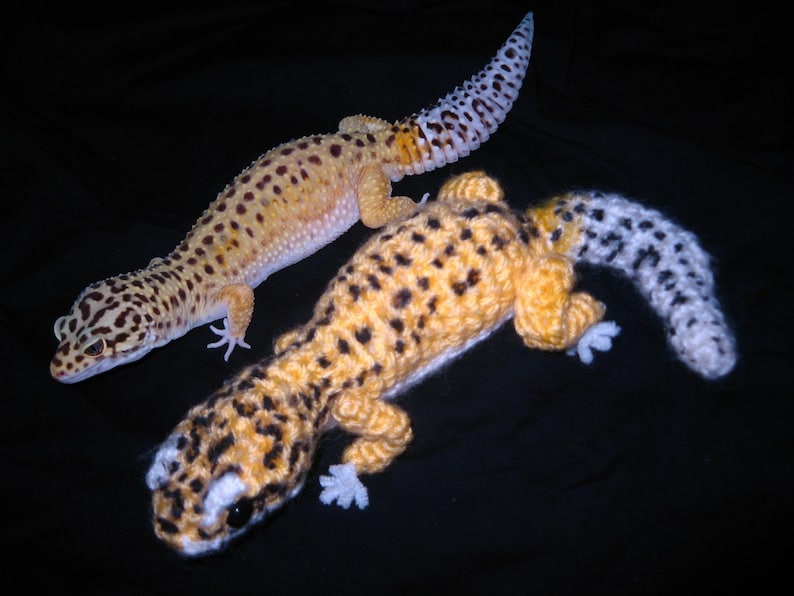 Leopard gecko amigurumi image 2