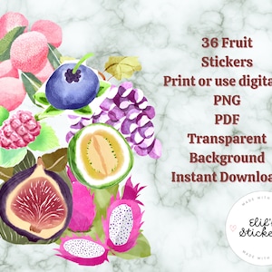 Digitales Obst PNG und PDF, druckbare Obstaufkleber, Aufkleber drucken und ausschneiden, Cricut-Aufkleber, transparenter Hintergrund für Goodnotes