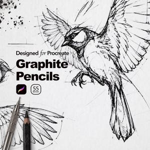 May include: A digital illustration of a bird in flight rendered in black ink lines on a white background. The text reads Designed for Procreate Graphite Pencils, accompanied by a Procreate icon and a circular badge containing the number 55 brushes.