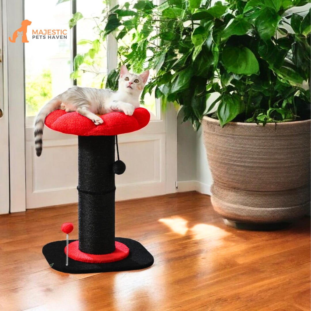 Cat Scratcher With Cozy Flower Plush Bed, Tall Cat Scratching Post, Modern  Cat Scratcher, Cat Pole, Toys for Kittens, Sisal Cat Scratcher,