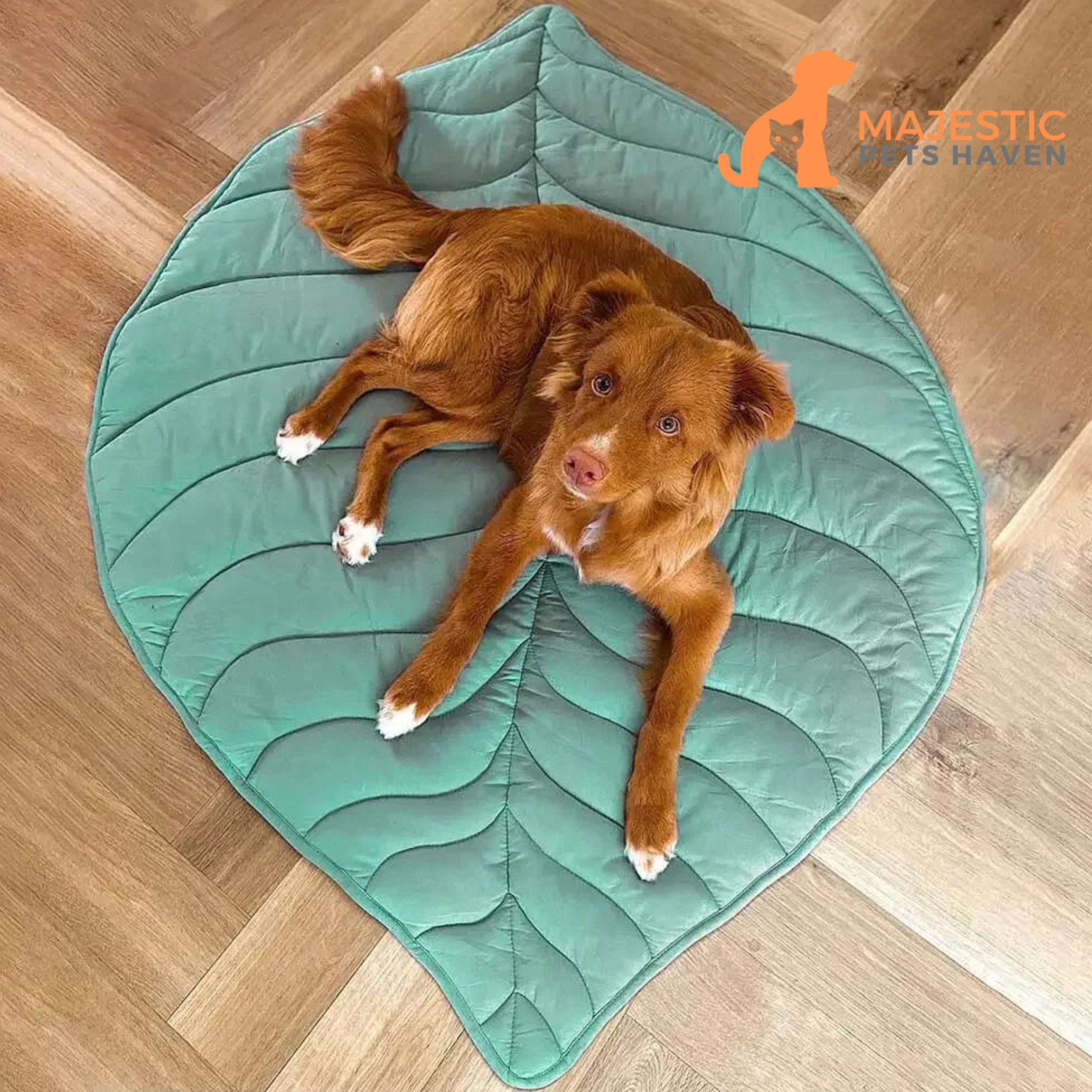 Cotton Dog Blanket Etsy Canada