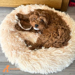 Fluffy Round Cat Bed, Cat Nest, Calming Soft Plush Donut Pet Bed, Calming Cat Cave, Soft Cat Bed, Cat House, Dog Sofa Bed, Pet Lounger,