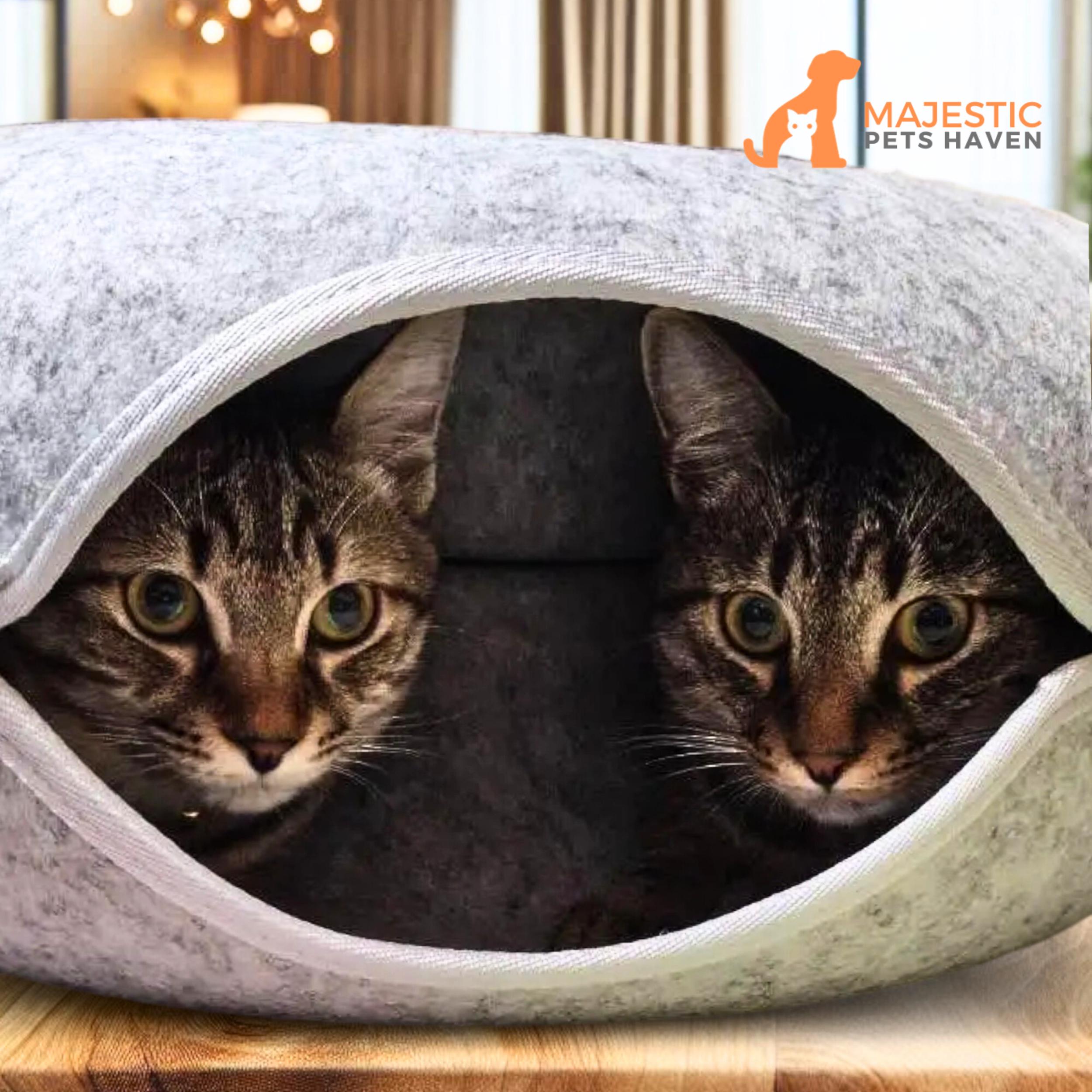 Dog Bed Medium Covered Large Cat Beds With Cat Scratch Pad For