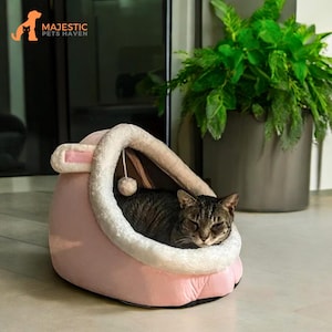Enclosed dog bed sale