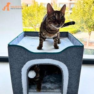Cat Bed For Indoor, Large Cat House with Fluffy Ball Hanging, Kitten Shelter With Warm Plush Bed, Pet spot, Pet House. image 1
