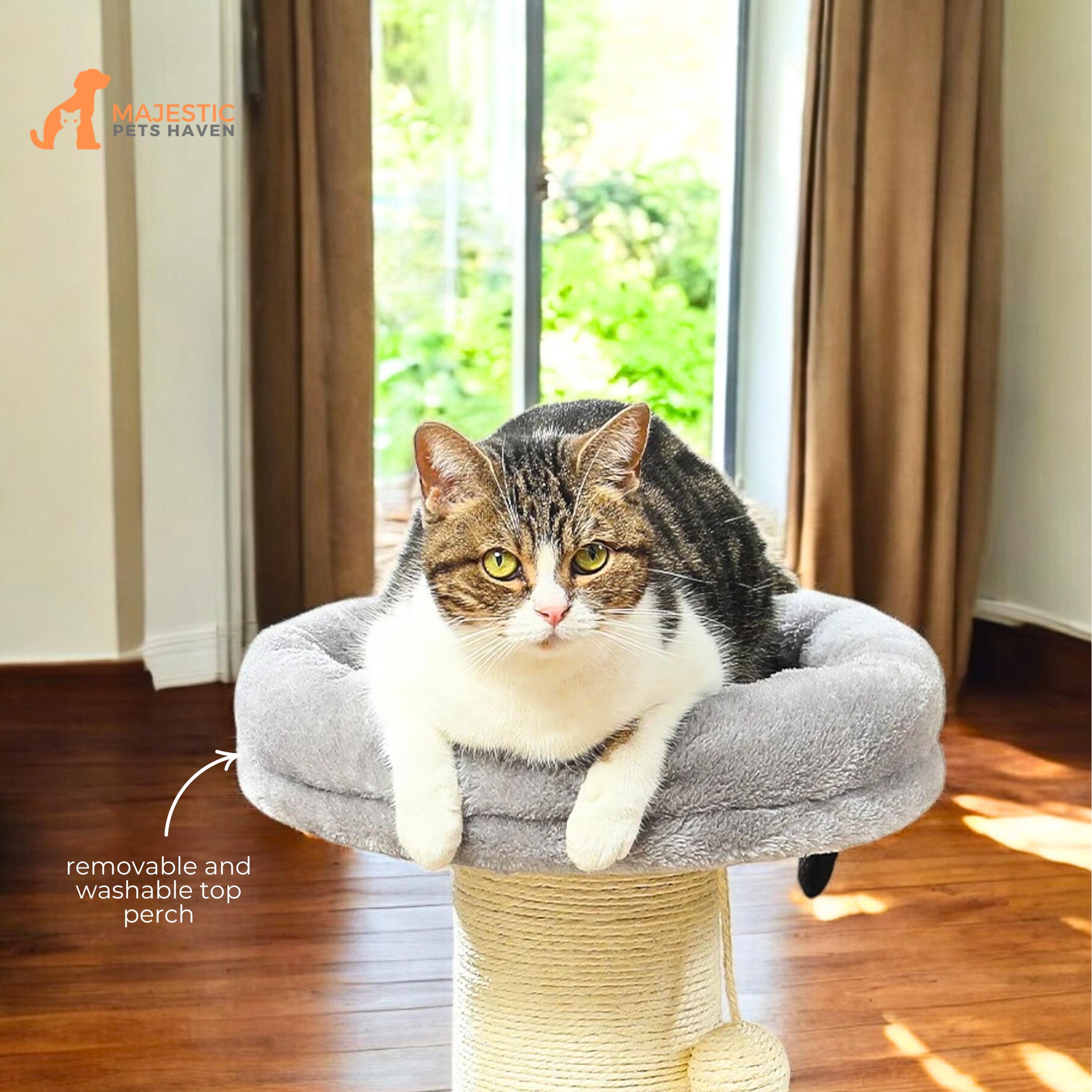 Cat Scratcher With Cozy Round Plush Bed, Tall Cat Scratching Post