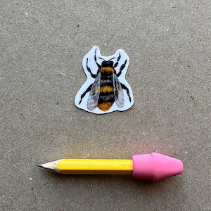 Illustrated Honey Bee Sticker: Matte Vinyl Cut by Robayre