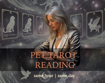 May include: A woman in a silver jacket sits in front of a tarot card spread. The cards are on a dark background with stars and constellations. The cards show images of a dog, a rabbit, and a cat. The text on the cards reads "High Priestess" and "21". The text at the bottom of the image reads "PET TAROT READING same hour | same day".