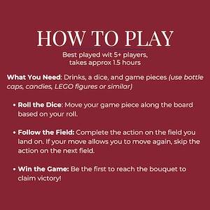 Custom Wine Bachelorette Party Game for Winery Bach Party Drinking Game Vino Before Vows Party Activity Wine-Themed Game for Bridal Shower 画像 6