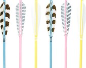 Pastel Wild Arrows