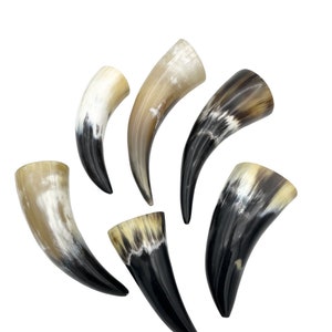 4-6 Water Buffalo Horn, Polished Horn, Longhorn Tip, Steer Horn Tusk, Marble Horn, Natural Horn, Carving Horn, Hollow, Display, Cow, MHN56 image 1
