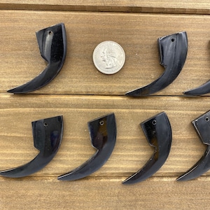 5pc 58mm Black Talon, Tusk Pendant, Carved Horn, Bear Claw, 58mm, Horn Shape Pendant, Jewelry Making, Natural Horn, Water Buffalo Horn