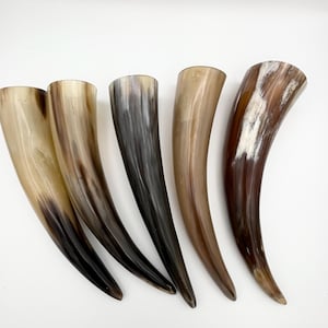 Cornes de buffle d&#39;eau de 20 à 25 cm (8 po. à 10 po.), corne polie, pointe longue corne, corne de bouvillon, corne blonde, corne naturelle, corne à sculpter, décoration de corne, présentoir de corne