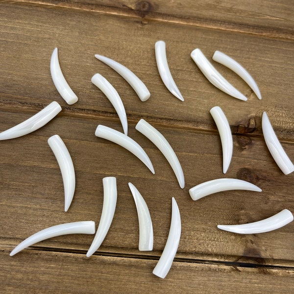 5pc 1.25" Mother of Pearl Tusks, Pearl Spike, Cabochon, Horn Shaped, Pearl Charms, Pearl Teeth, Tooth, Bulk Lot, 32mm MOP, Shell NO HOLES