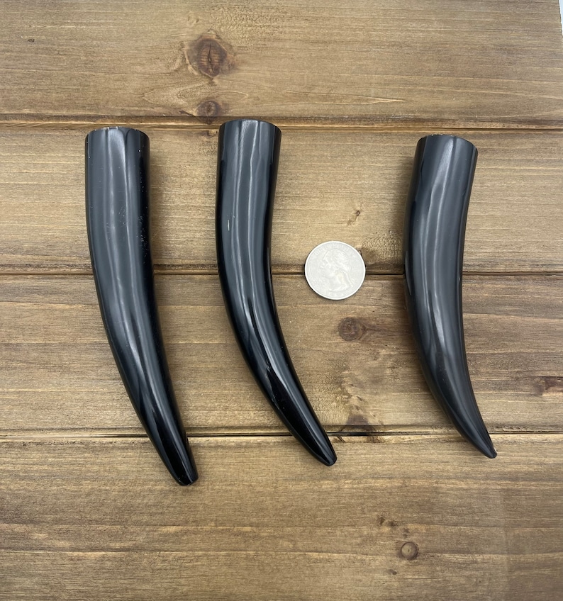 4-5 Water Buffalo Horn Tip, Black Horn, Longhorn Tip, Steer Horn Tusk, Large Tusk Pendants, Natural Black Horn, 134mm Horn image 5