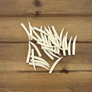 May include: A collection of numerous small, smooth, off-white, curved, tapered, horn-shaped objects arranged in a loose pile. Each piece features a pointed end and a blunt base, with a consistent ivory-like color and a polished, solid appearance.