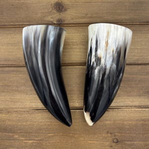2 paires de cornes de buffle d&#39;eau de 5,5 pouces, corne polie, pointes de corne asymétriques, corne de boeuf, corne marbrée, corne naturelle, corne creuse, HHP131, décoration