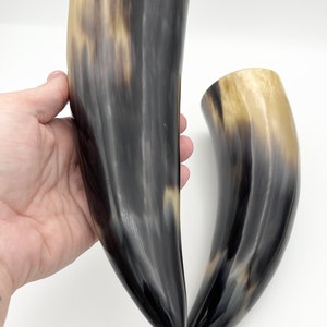 2pc 9 Water Buffalo Horn Pair, Black Horn, Polished Horn, Longhorn Tip, Steer Horn, Marbled Horn, Natural Horn, Carved Horn, Hollow, HHP077 image 8