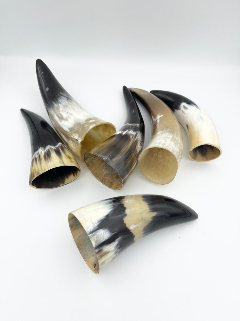 4-6 Water Buffalo Horn, Polished Horn, Longhorn Tip, Steer Horn Tusk, Marble Horn, Natural Horn, Carving Horn, Hollow, Display, Cow, MHN56 image 7